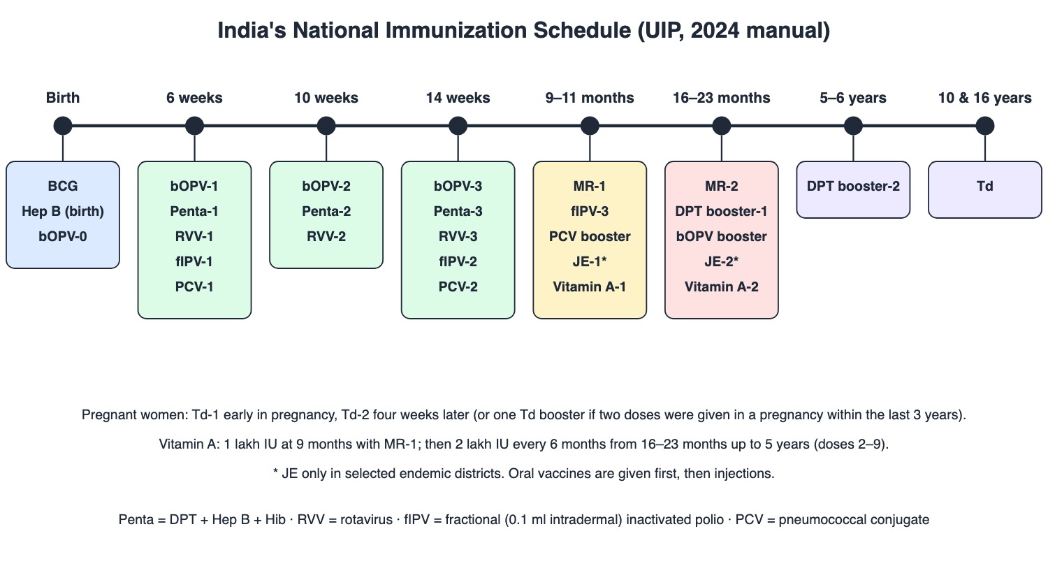 Timeline of India's National Immunization Schedule from birth to 16 years, with the vaccines due at each visit as listed in the 2024 Routine Immunization Manual